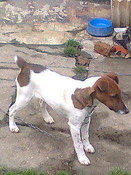 Kép 004