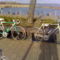 20100326523