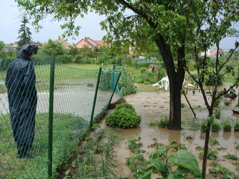 árvíz 1