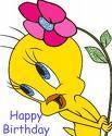 Csőrike Happy