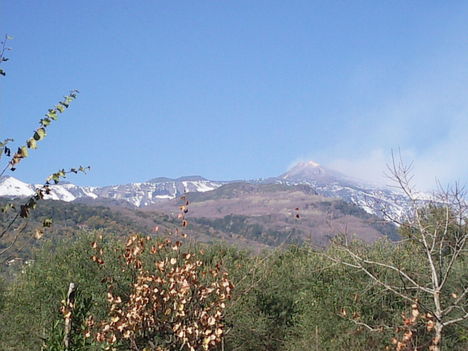 Foto0474