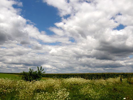 Természetképek 9