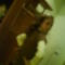 DSC00088