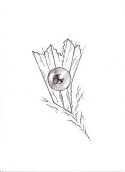004