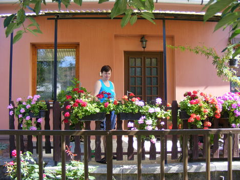 2010_06110002