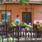 2010_06110002