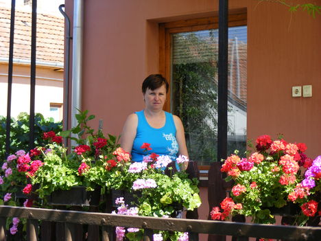 2010_06110003