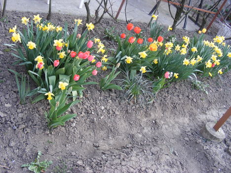 2010_06110103