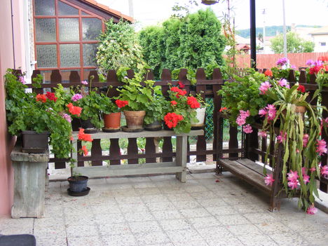 2010_06110143