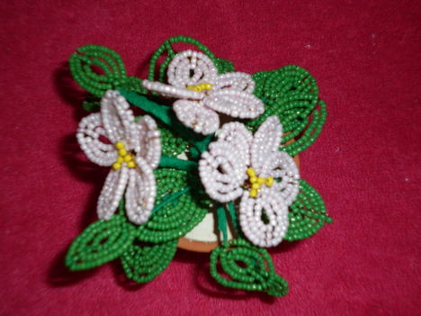 Ibolya