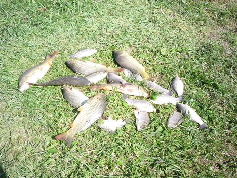 P1000941