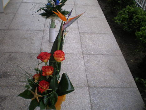 P4301129