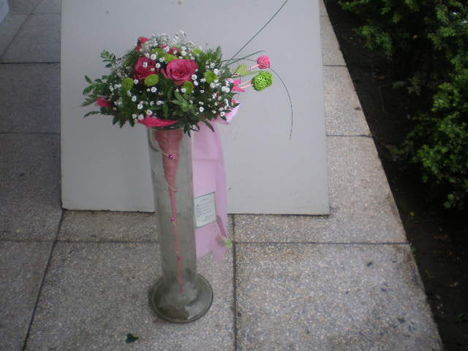 P4301567