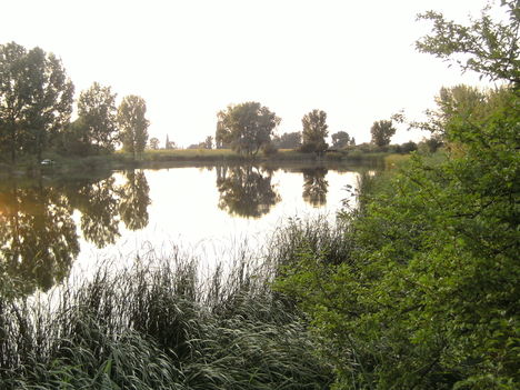 PICT2174