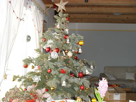 2010 Karácsony