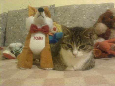 ROZI ÉS TOMI