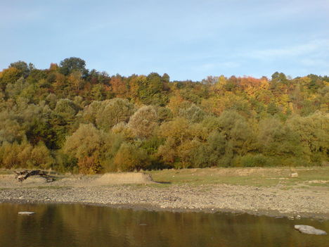 DSC00003