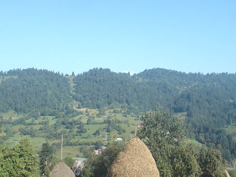 DSC00311