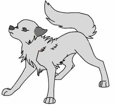 farkas 19