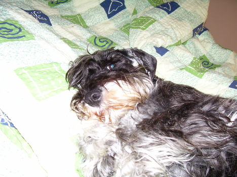 Szikra