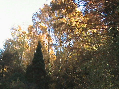 DSC00080