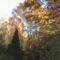 DSC00080