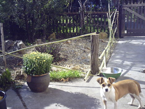 PICT0007