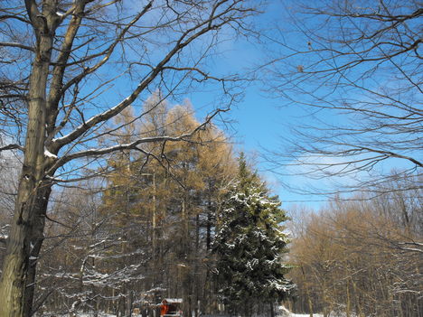DSCF2354