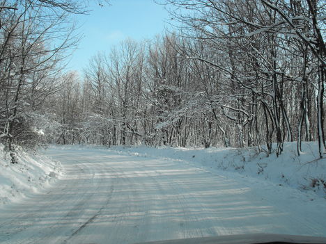 DSCF2373