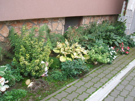 ELSŐUDVAR