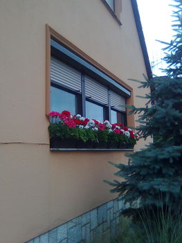 Kép057