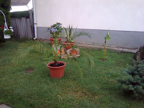 Kép064
