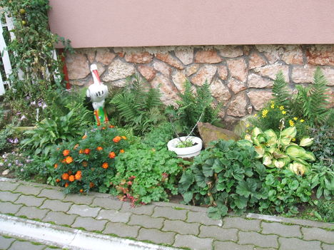 LESZÁLLT A GÓLYA