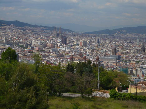 P1010524