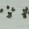 Petörkei kacsák hóesésben a tavon