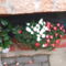 PISTIKE