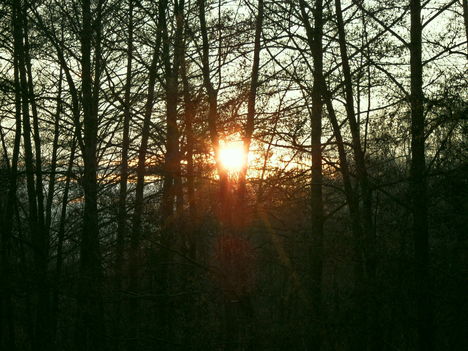 SAM_0220