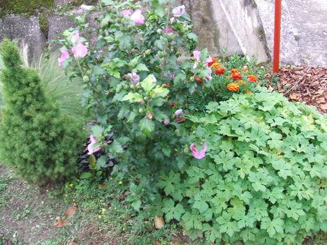 UTCÁN