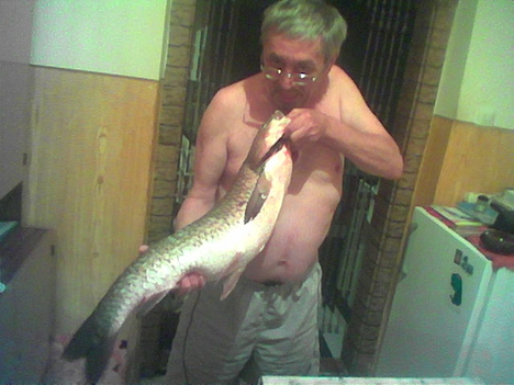 Akvárium,Tisztitás.