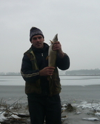 1113531_7843_profile