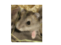 1115521_3892_card