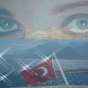 1117079_4679_card