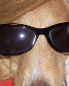 1011303_9065_profile