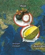 1101443_9837_profile