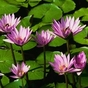 1102789_8657_card