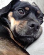 1102981_3428_profile