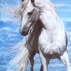 1132590_3501_tiny