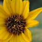 1136592_9098_card