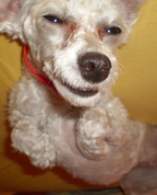 1138445_1260_profile