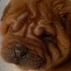 1141834_1242_tiny
